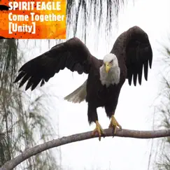 Come Together (Unity) - Single by Spirit Eagle album reviews, ratings, credits