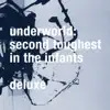 Second Toughest in the Infants (Deluxe) [Remastered] album lyrics, reviews, download