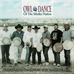 Owl Dance: 11 Song Lyrics