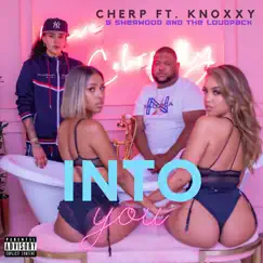 Into You (feat. Knoxxy & Sherwood And The Loud Pack) Song Lyrics
