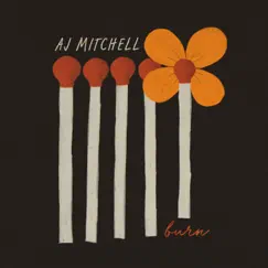 Burn - Single by AJ Mitchell album reviews, ratings, credits