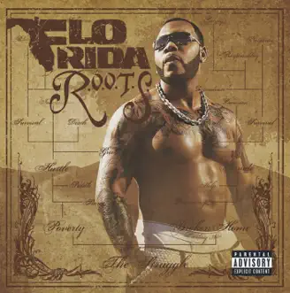Download Never Flo Rida MP3