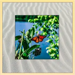 Butterfly+ Song Lyrics
