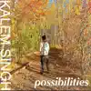 Possibilities album lyrics, reviews, download