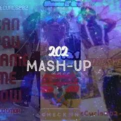 202 Mash-Up Song Lyrics