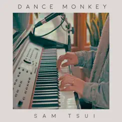 Dance Monkey (Piano Acoustic) Song Lyrics