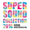 SUPER SOUND COLLECTION 2016 album lyrics, reviews, download