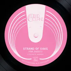 Pink Rabbits b/w Plymouth (acoustic) - Single by Strand of Oaks album reviews, ratings, credits