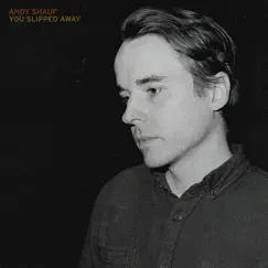 You Slipped Away - Single by Andy Shauf album reviews, ratings, credits