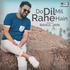 Do Dil Mil Rahe Hain (Cover Version) Song Lyrics