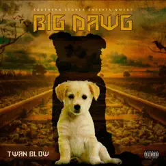 Big Dawg - Single by Twan Blow album reviews, ratings, credits