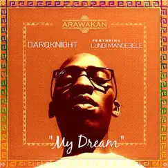 My Dream (feat. Lungi Mandebele) Song Lyrics