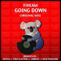 Going Down (Nick Panlook Remix) Song Lyrics