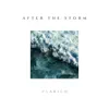 After the Storm - Single album lyrics, reviews, download