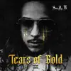 Tears of Gold - Single album lyrics, reviews, download
