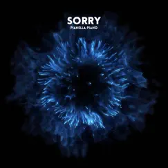 Sorry - Single by Pianella Piano album reviews, ratings, credits
