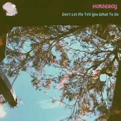 Don't Let Me Tell You What To Do - Single by Horseboy album reviews, ratings, credits