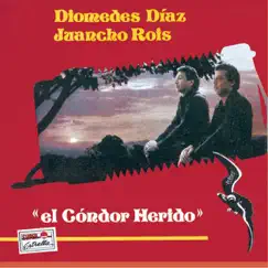 El Cóndor Herido Song Lyrics