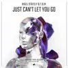 Just Can’t Let You Go (Extended Mix) song lyrics