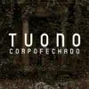 Corpo Fechado - Single album lyrics, reviews, download