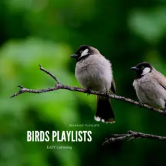 Parrot Song Lyrics