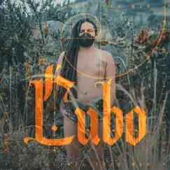 Cubo Song Lyrics