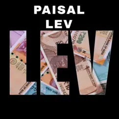 Paisal LEV (feat. Mantra Anand & DJ Shawn) - Single by Raag ONE album reviews, ratings, credits