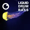 Liquid Drum & Bass Sessions 2020 Vol 28 album lyrics, reviews, download