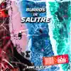 Burros De Salitre (Remix) - Single album lyrics, reviews, download