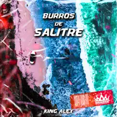 Burros De Salitre (Remix) - Single by King Alex album reviews, ratings, credits