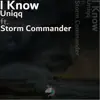 I Know (feat. Storm Commander) - Single album lyrics, reviews, download