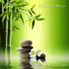 Relaxing Music album lyrics, reviews, download