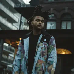 King of the Fall - Single by The Weeknd album reviews, ratings, credits