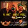 All the Lights We See (feat. Brittany Burrell) - Single album lyrics, reviews, download
