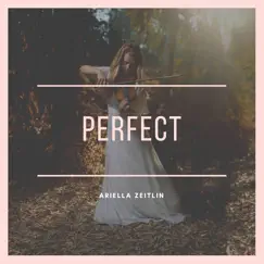 Perfect (Violin Cover) Song Lyrics