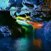 Zen Garden Cave Water and Birds album lyrics, reviews, download