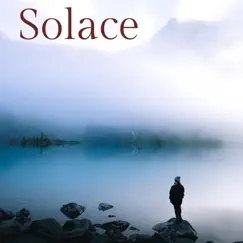 Solace - Single by Dan Truman album reviews, ratings, credits