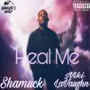 Heal Me (feat. Niki Lavaughn) - Single album lyrics, reviews, download