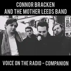Voice on the Radio (Companion) Song Lyrics