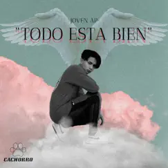 Todo Esta Bien - Single by Joven AP album reviews, ratings, credits