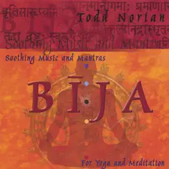 Bija: Soothing Music and Mantras by Todd Norian album reviews, ratings, credits