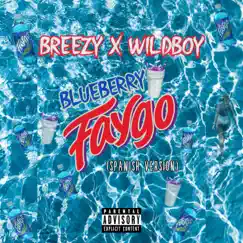 Blueberry Faygo (feat. WildBoy) Song Lyrics