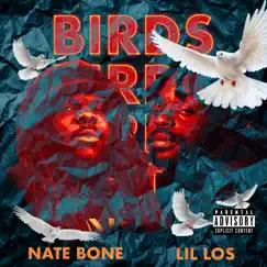 Birds - Single by Nate Bone & Lil Los album reviews, ratings, credits