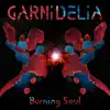 Burning Soul - Single album lyrics, reviews, download