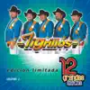 Los Tigrillos: 12 Grandes Exitos, Vol. 1 album lyrics, reviews, download
