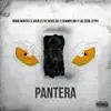 Pantera (feat. Daviles de Novelda, DaniMflow & Salcedo Leyry) - Single album lyrics, reviews, download