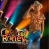 Roney o Boyzinho do Forró, Vol. 7 album lyrics, reviews, download