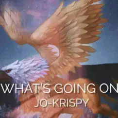 What's Going On? - Single by Jokrispy album reviews, ratings, credits