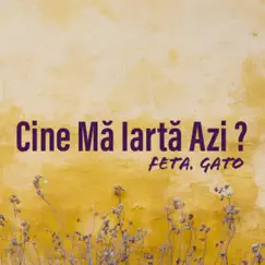 Cine Ma Iarta Azi (feat. Gato) - Single by K-Riga album reviews, ratings, credits