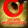 Shehnai (Instrumental) album lyrics, reviews, download